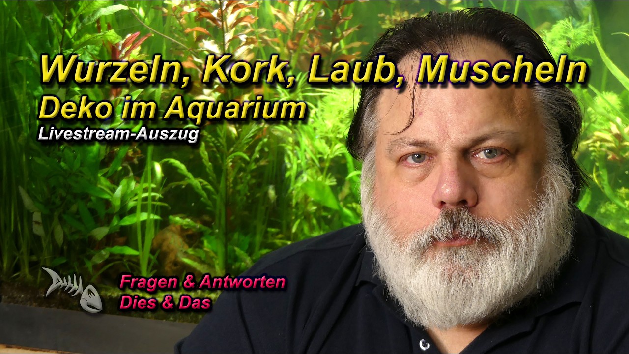 WURZELN, KORK, LAUB, MUSCHELN UND ANDERE DEKO im Aquarium