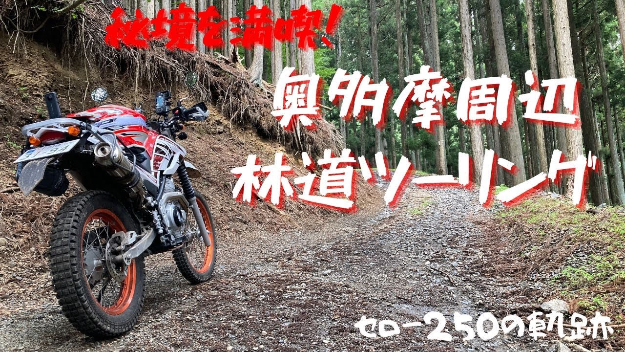 【お山ツー】秘境を満喫！奥多摩周辺林道ツーリング【セロー250/CRF250L/林道/ダート/奥多摩/小菅/秘境/仏舎利塔/モトブログ】