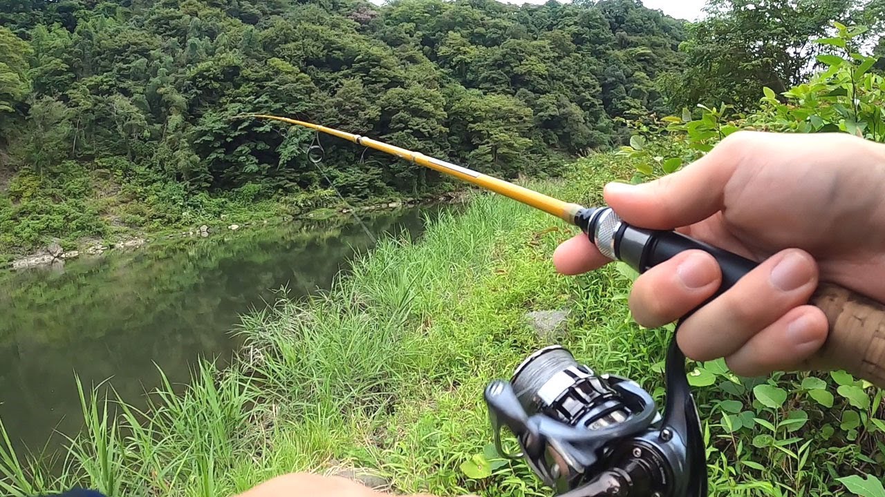 相模湖と津久井湖の間の水路には何がいるのか？