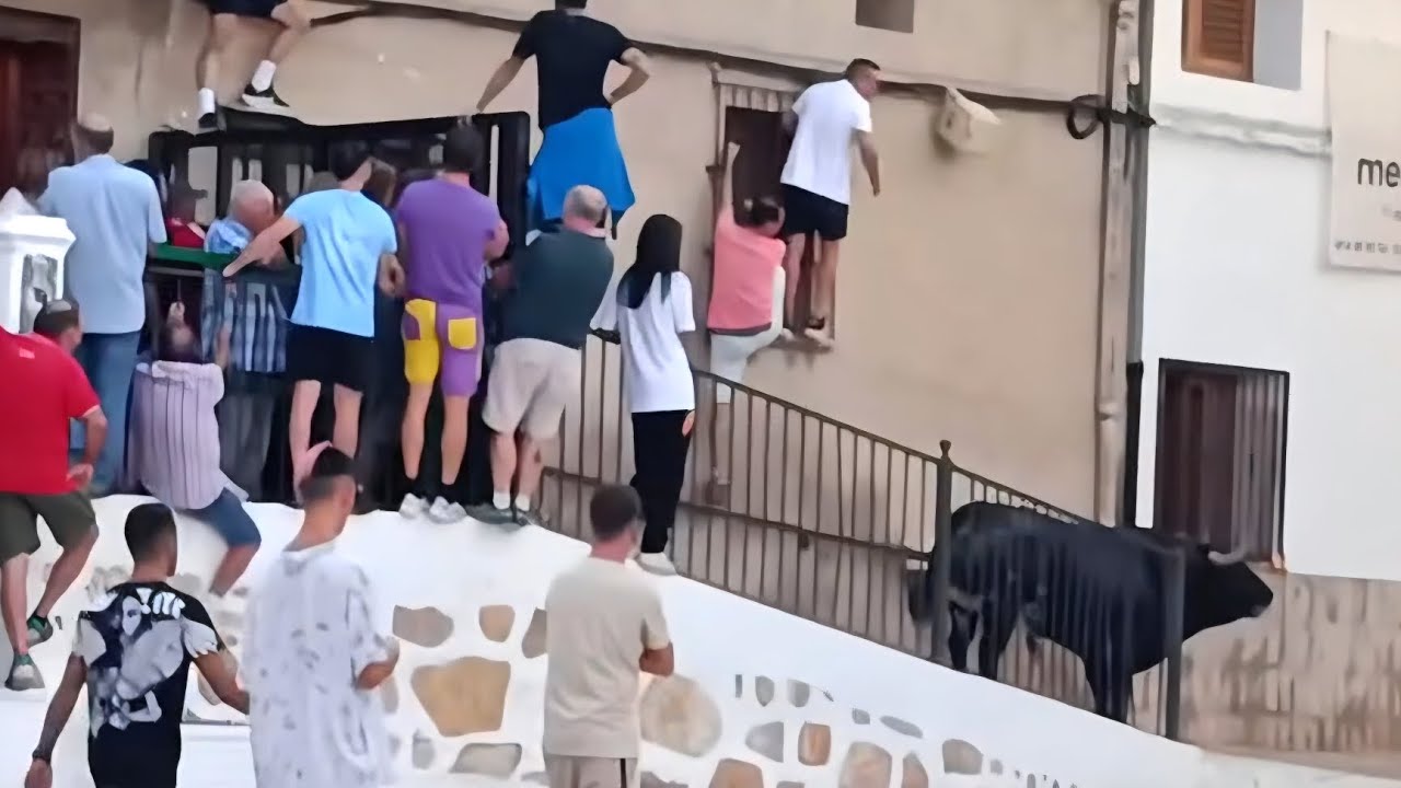 El toro sube las escaleras! Nadie imaginaba lo que iba a pasar… 🔥