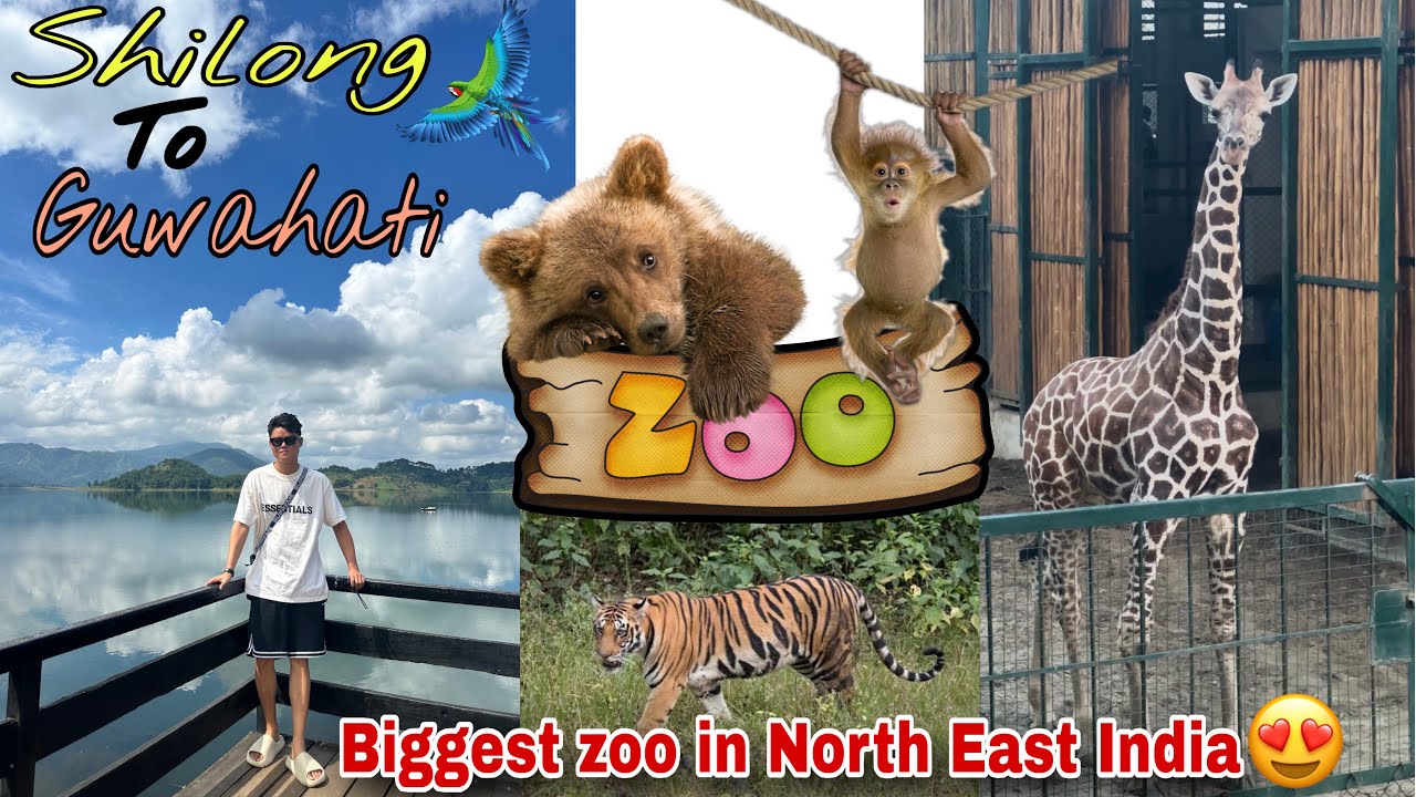 Guwahati biggest zoo in North east India 
