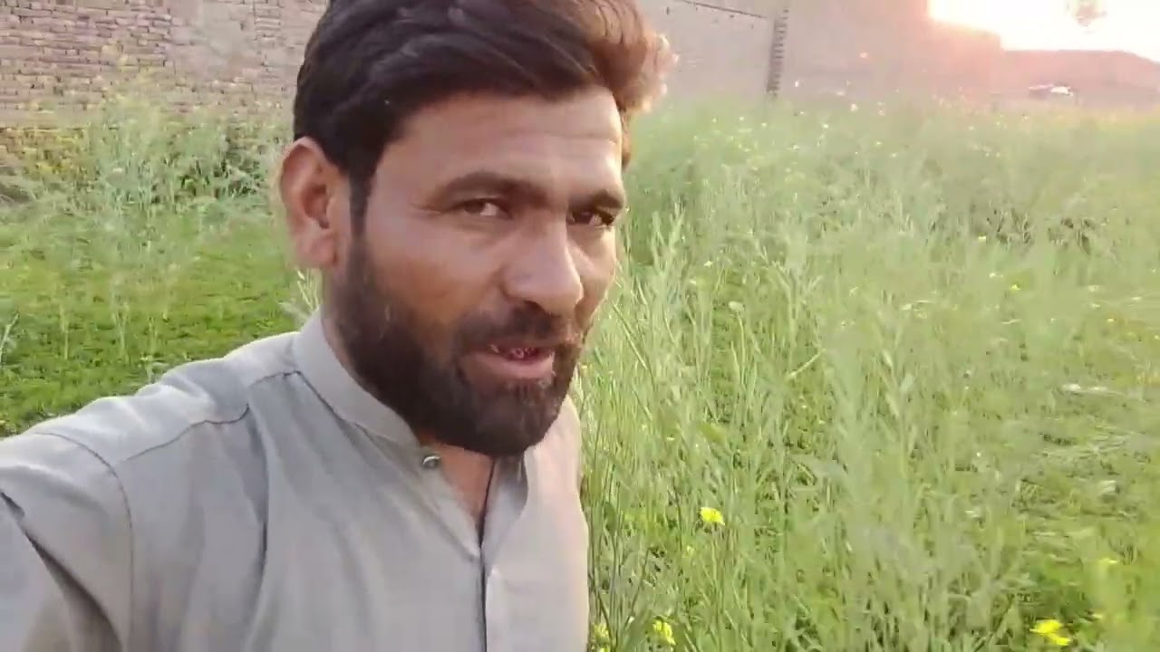 Shrarti dogi mera shooq