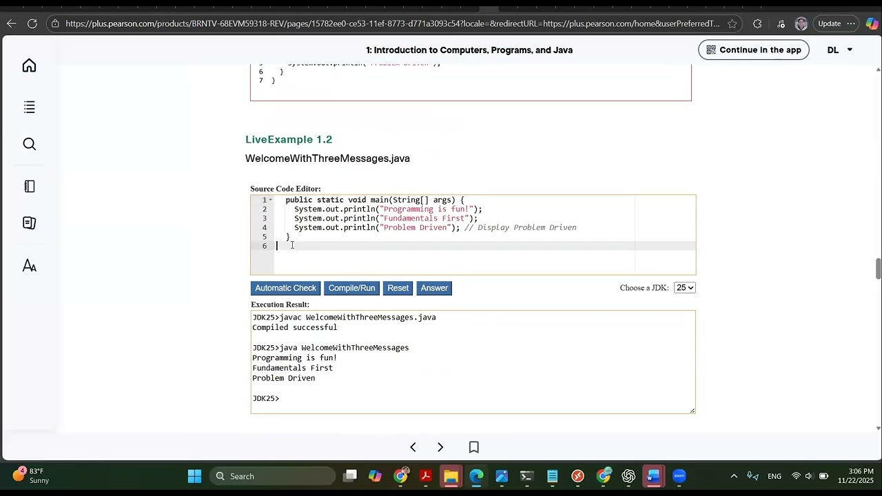 Основной метод экземпляра Java 25