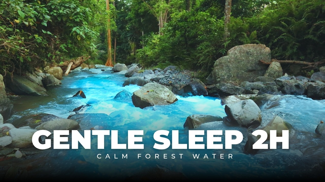 2 Hours Gentle River Sounds for Relaxing Sleep (No Music) - Calm Forest Water