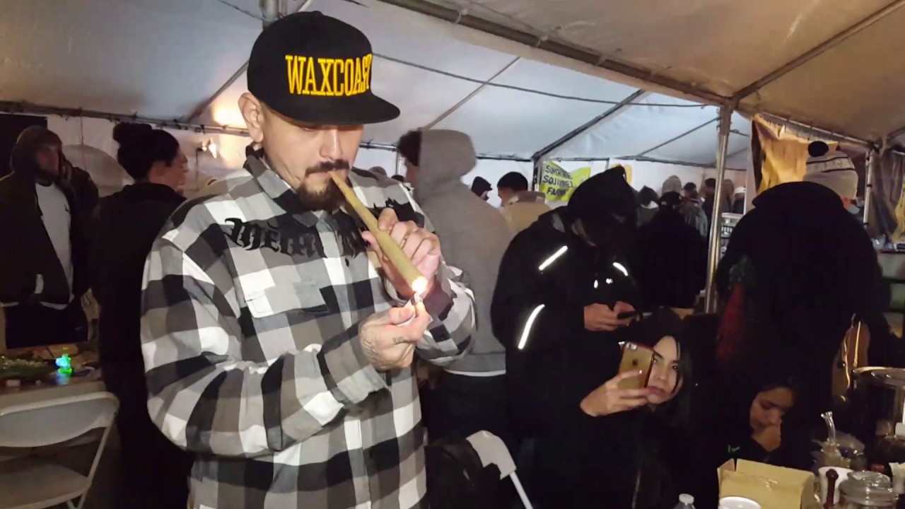 Waxcoast..Taco sesh