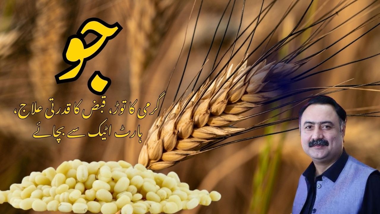 Jo Ke Fayde | Barley Benefits