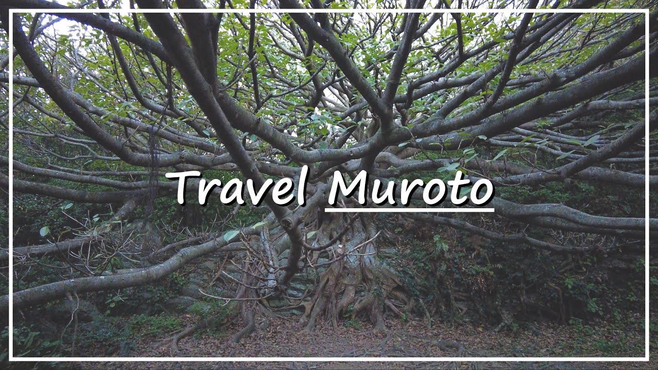【Japan Walk】Dramatic Seascapes and Landscapes Approved UNESCO Global Geopark | Cape Muroto in Kochi