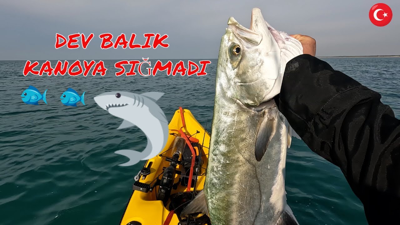 DEV BALIK KANOYA SIĞMADI.