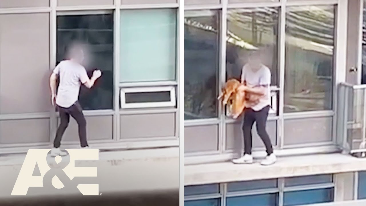 Man RISKS HIS LIFE to Rescue Cat From 6th Floor Balcony | Neighborhood Wars | A&E #shorts