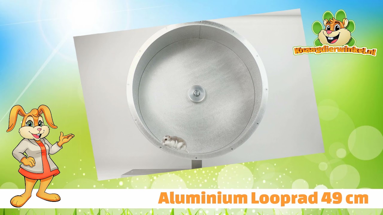 Aluminium Looprad Russische Dwerghamster | 🌿 DRD Knaagdierwinkel 🐭🐹🐰