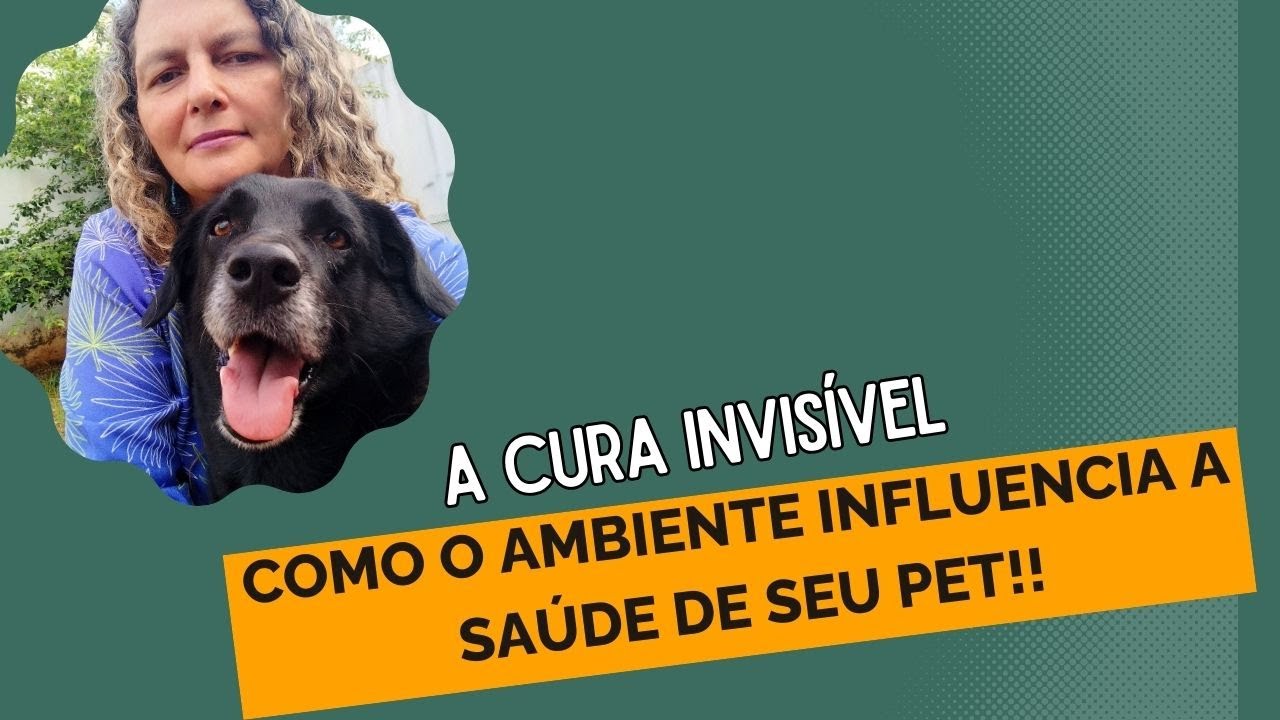 A cura invisível, como o ambiente atua na saúde do seu pet.