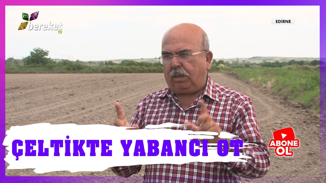 Çiftçi Çeltik Yetiştiriciliğinde Hangi Yabancı Otlarla Karşılaşıyor - Bu Otlardan Nasıl Kurtulabilir