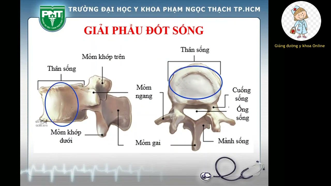 X QUANG CỘT SỐNG