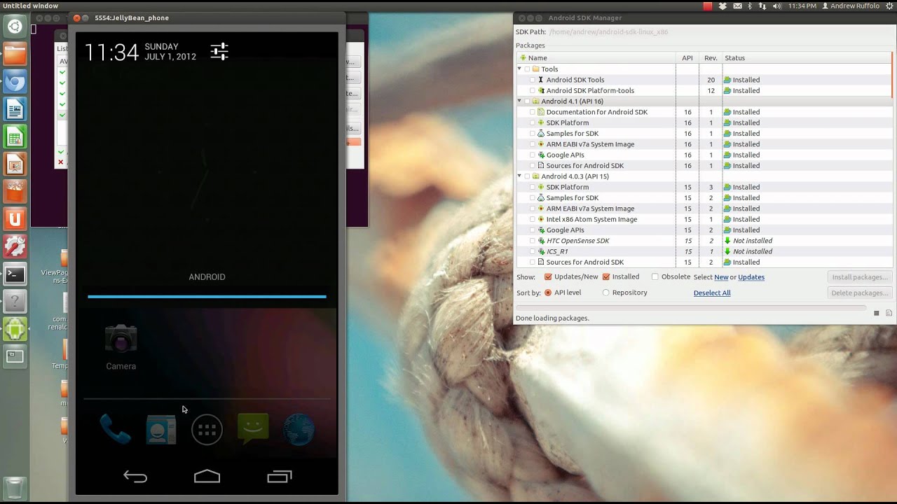 Jelly Bean SDK Review