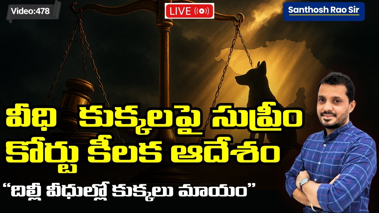 SC Orders Relocation of All Stray Dogs from Delhi | Public Safety vs Animal Rights