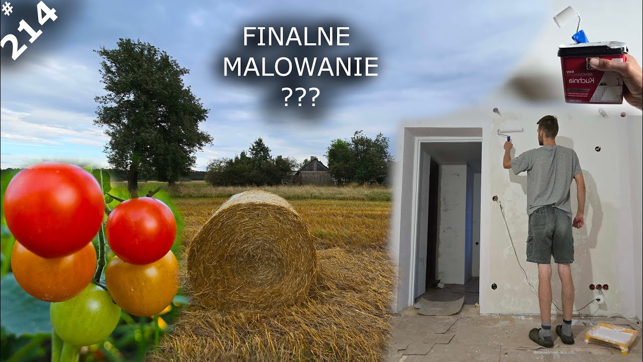 Siedlisko - reanimacja odc.214 