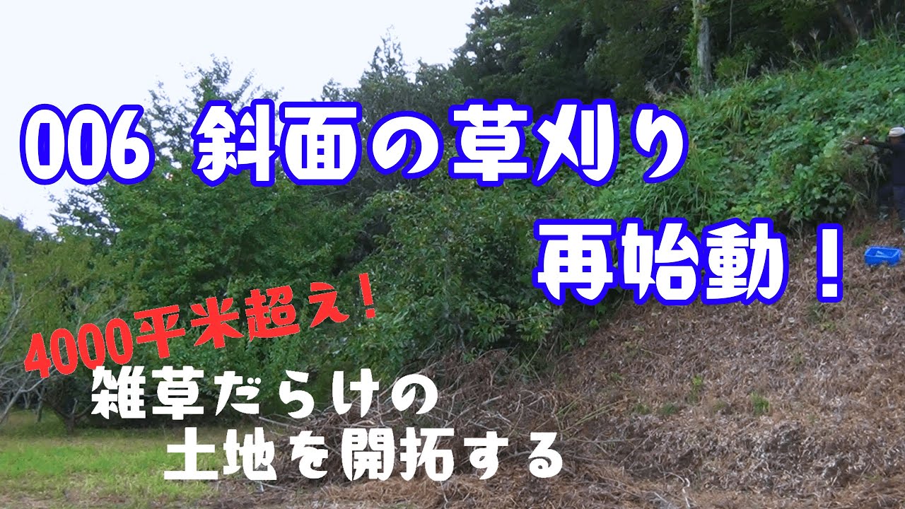 【雑草だらけの土地を開拓】斜面の草刈り再始動！