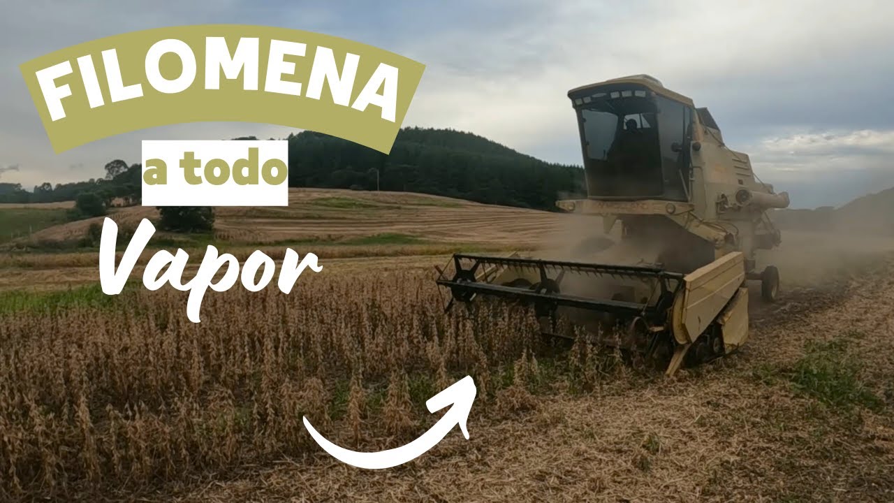 COLHENDO SOJA COM NEW HOLLAND 4040