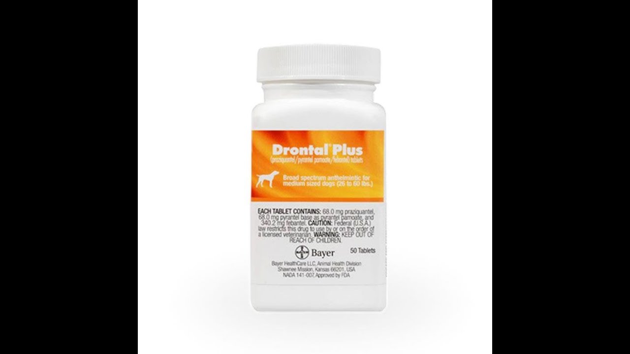 Drontal Plus