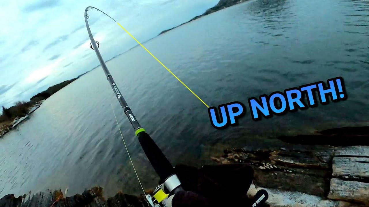 Catching fish on new lures inside the Arctic circle! Zero or hero?