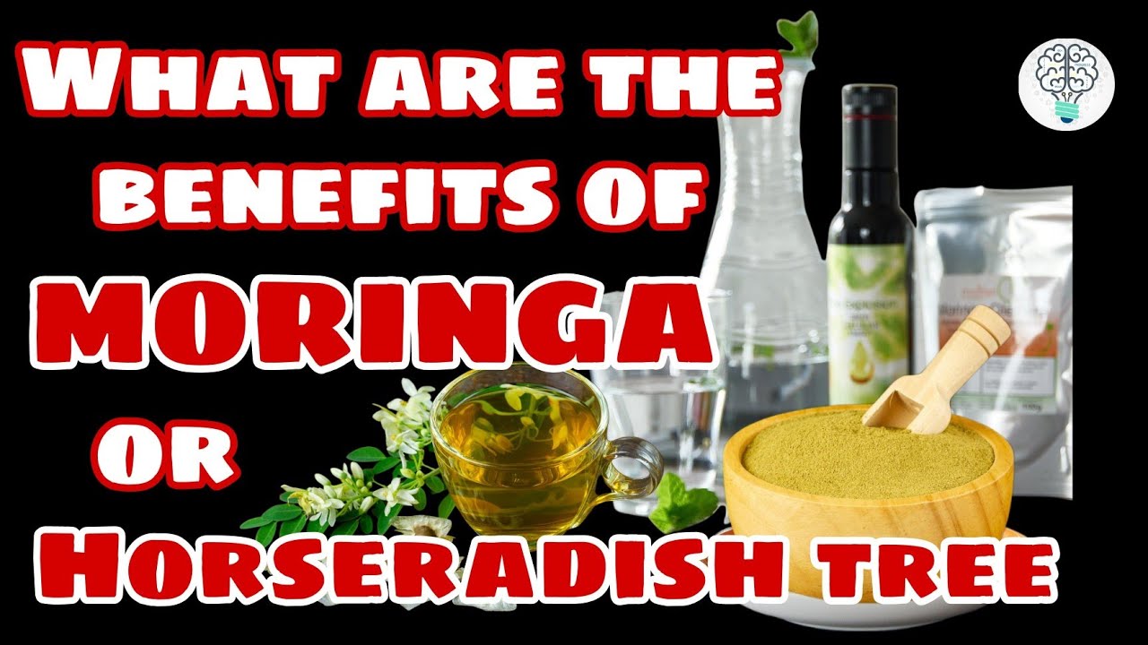WHAT ARE THE BENEFITS OF MORINGA ALSO KNOWN AS THE HORSERADISH TREE?