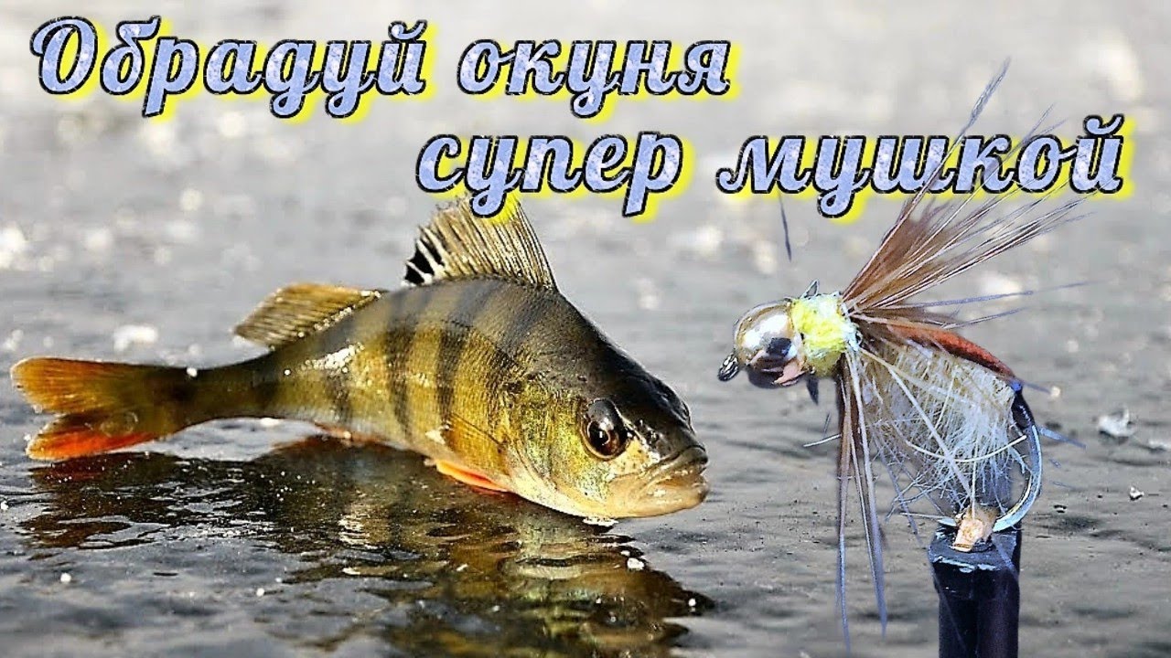 Окунь зимой будет довольный от такой мушки