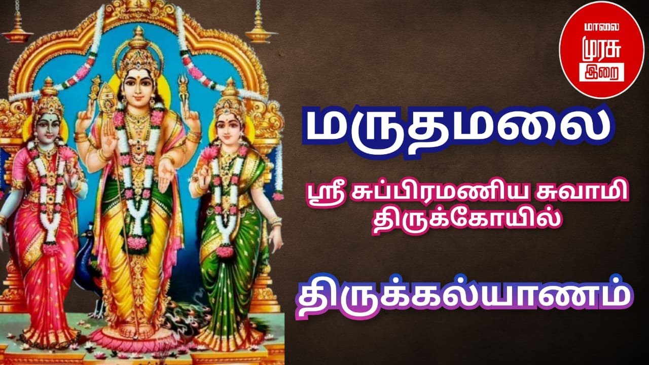 🔴LIVE : மருதமலை தைப்பூசம் திருக்கல்யாண உற்சவம்-31.01.2026 | Malai Murasu Irai
