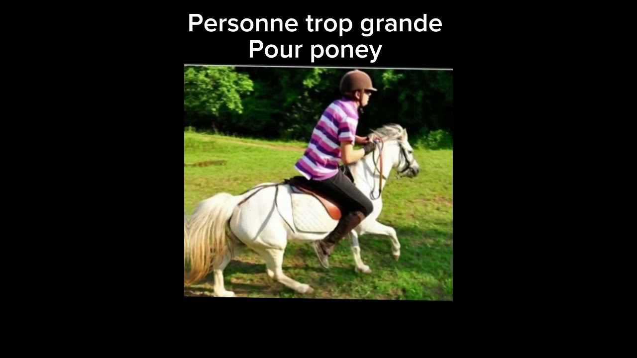 Top 12 des pires Maltraitance en &eacute;quitation selon moi ￼