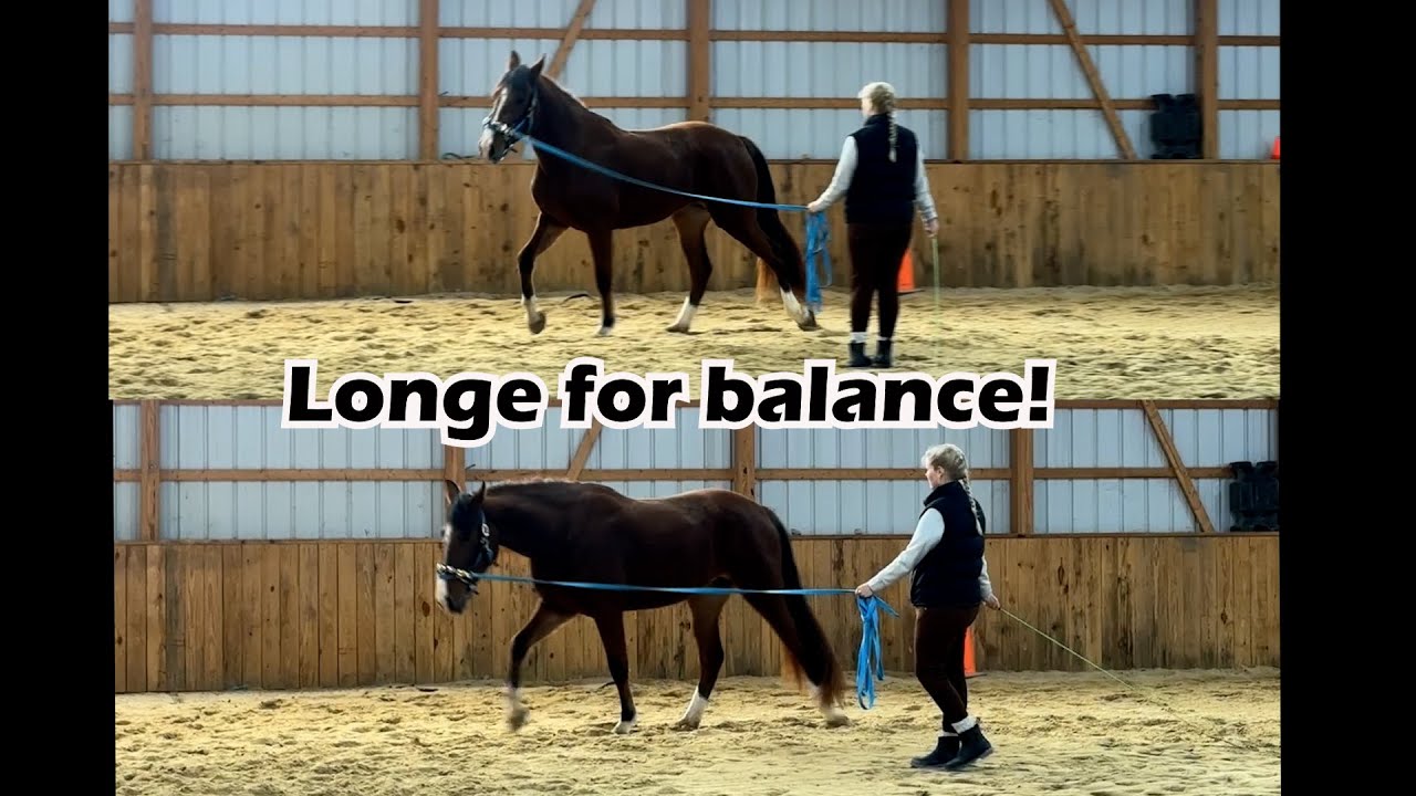 Longeing for balance - HOW to begin