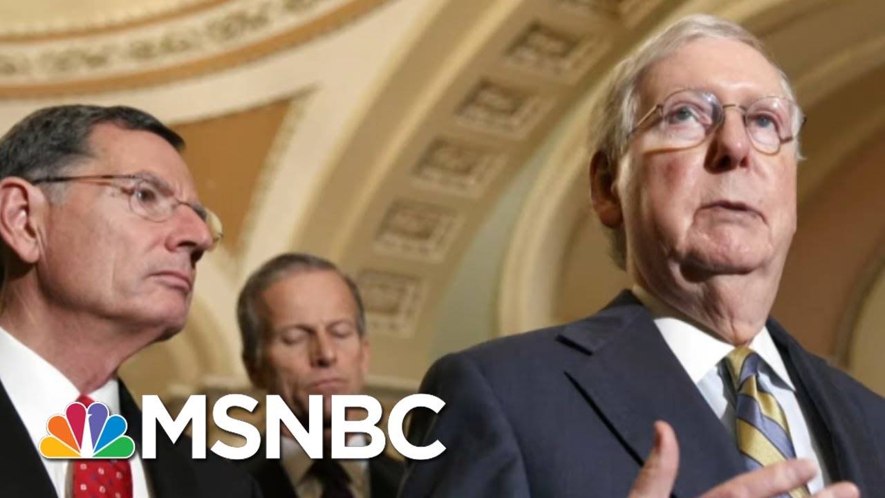 Trump Signs First Coronavirus Aid Bill - Day That Was | MSNBC