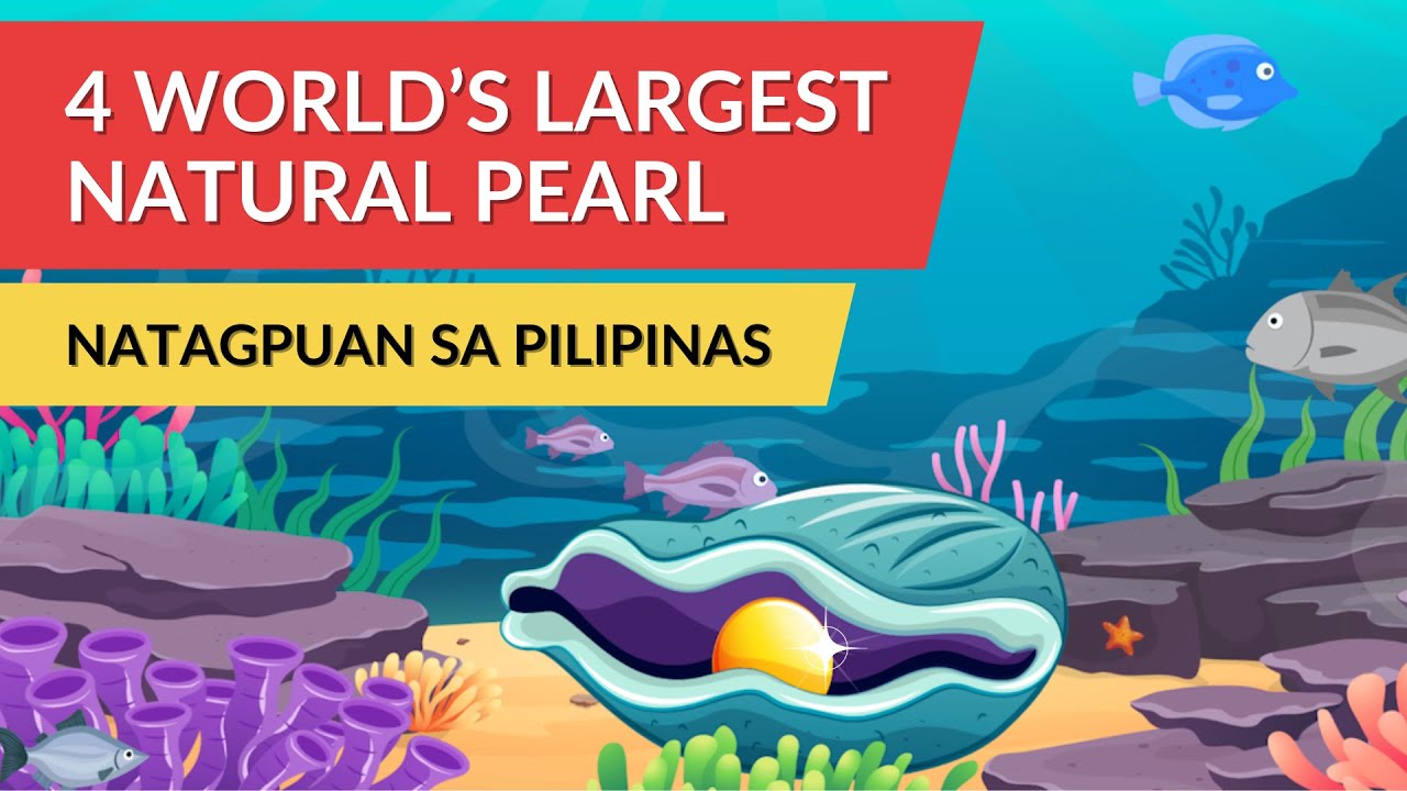 4 of the World's Largest Natural Pearl, Natagpuan sa Pilipinas
