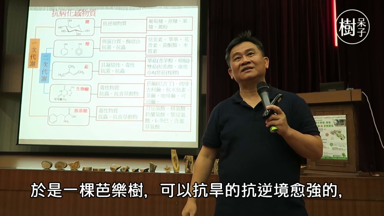 【樹呆子小學堂】 #化感物質與水果健康度的關係