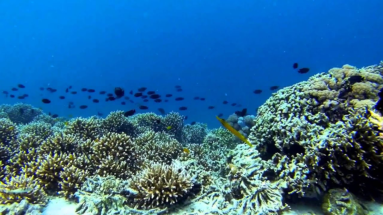 Juag Lagoon Marine Sanctuary I