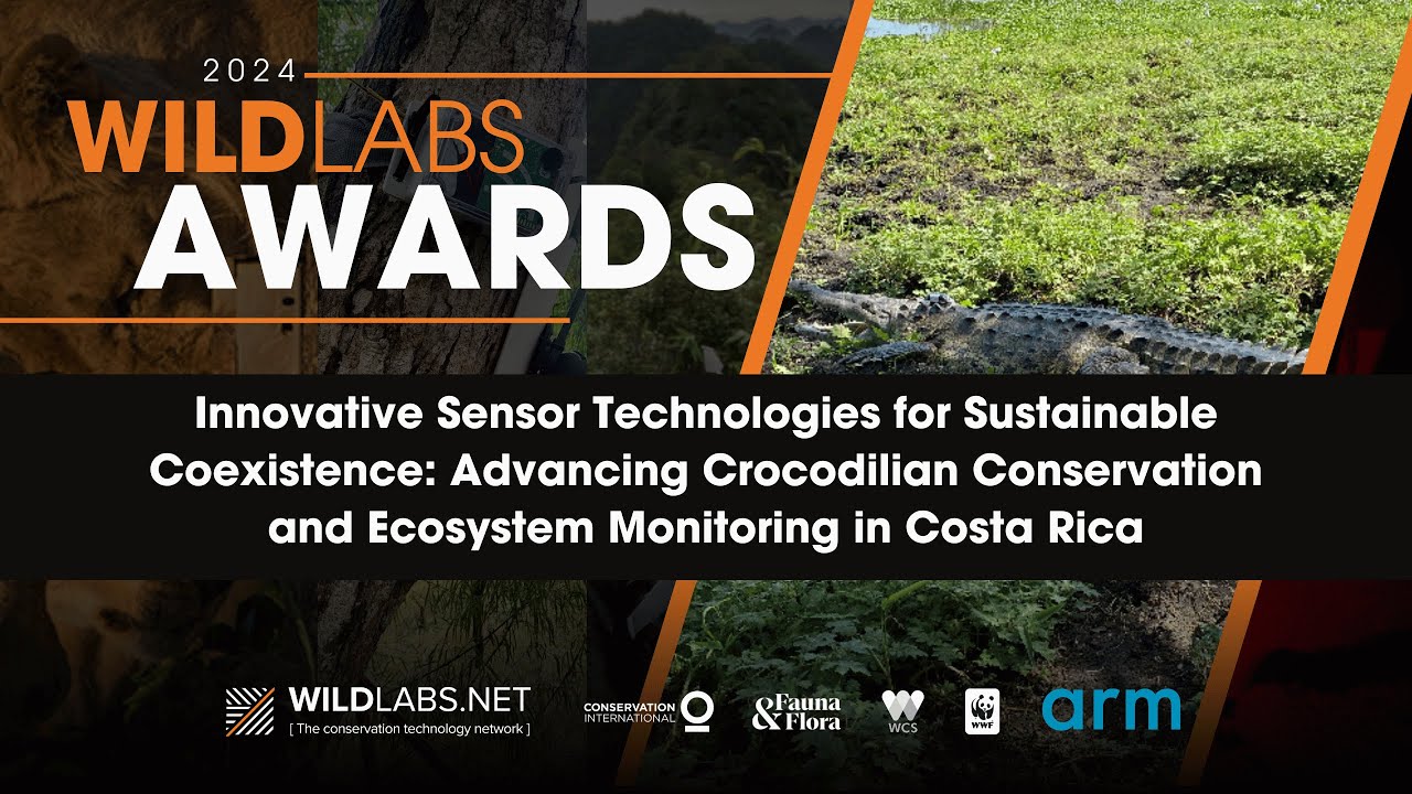 Innovative Sensor Technologies for Advancing Crocodilian Conservation and Ecosystem Monitoring
