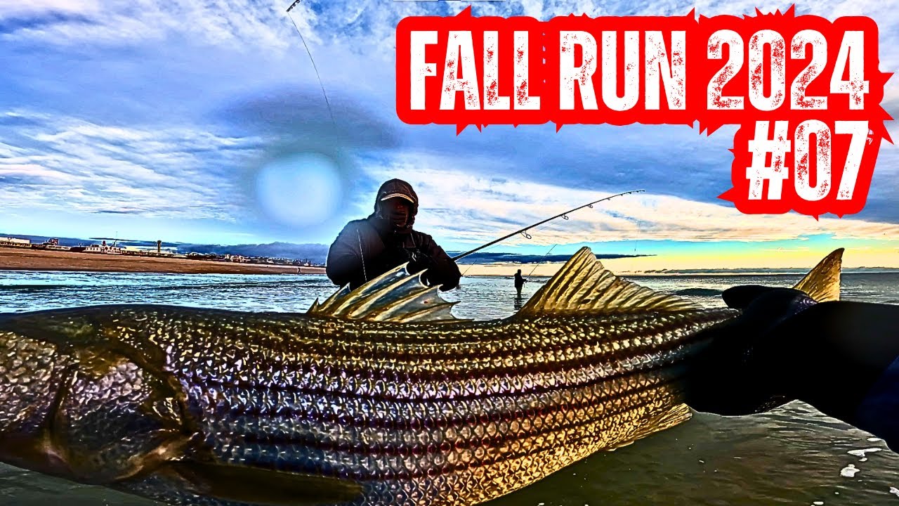 Fall Run 2024 #07