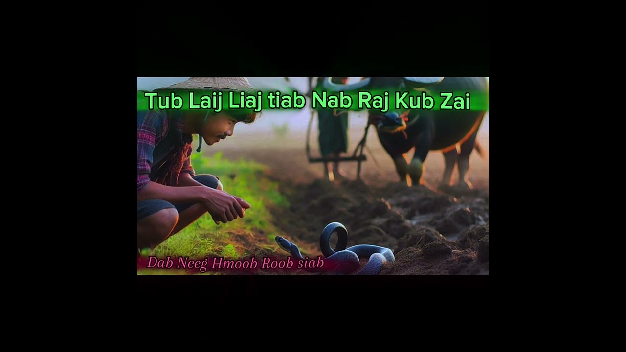 Dad Neeg Hmoob Roob Siab Tub Laij Liaj Tiab Nab Raj kub Zai23/08/2024