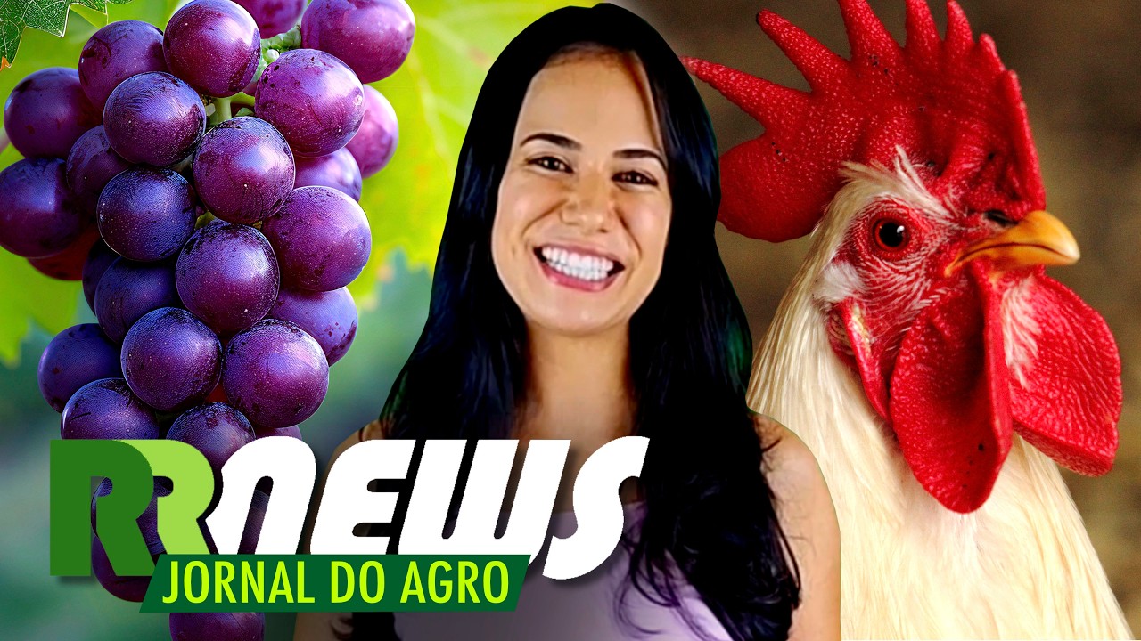 RRNEWS - O Jornal do Agro - 28/02/2026