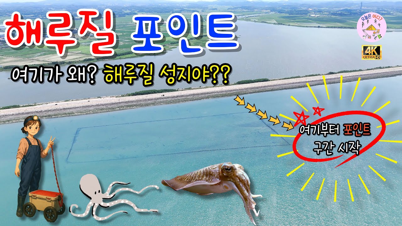 도대체 왜?? 석문방조제를 