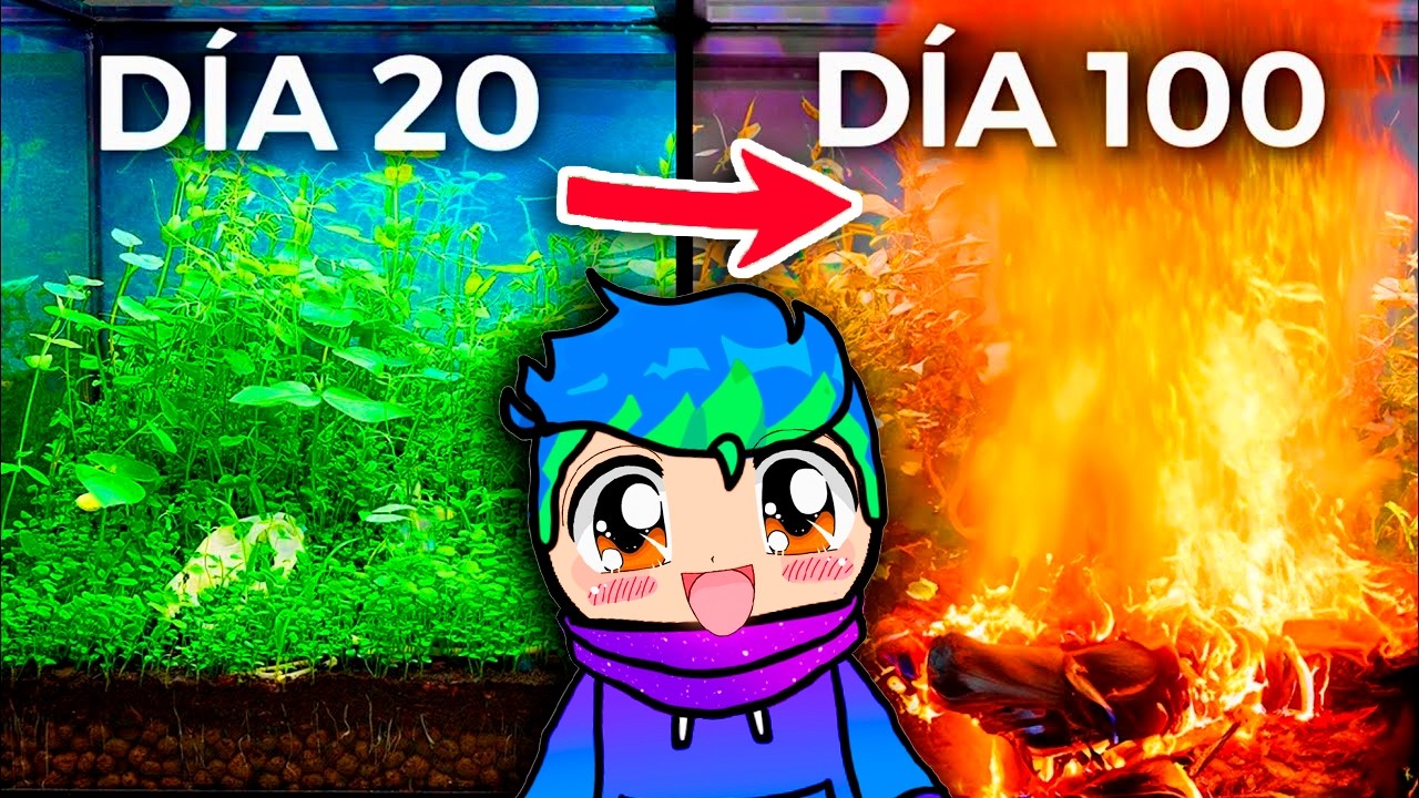 Simulando un BOSQUE durante 100 días y Esto Sucedió / Carlos Infinito REACCIONA Dr Plants en Español