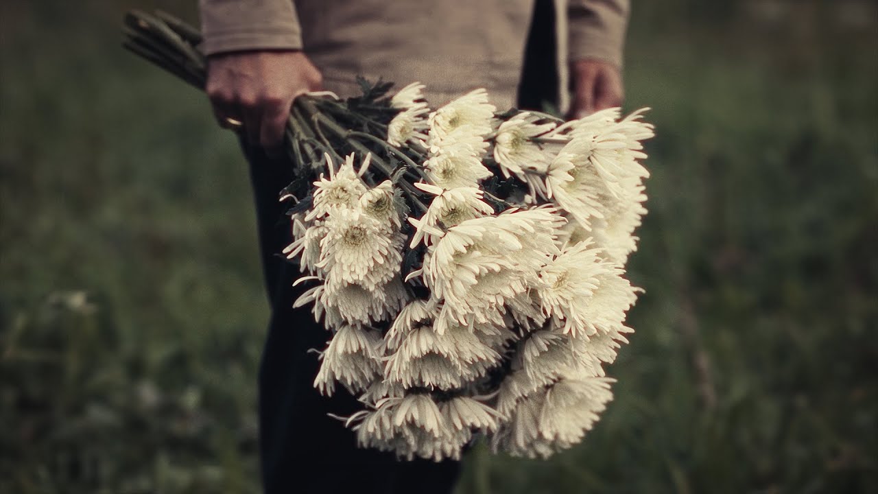STINKY - Mourning Flowers (Official Music Video)