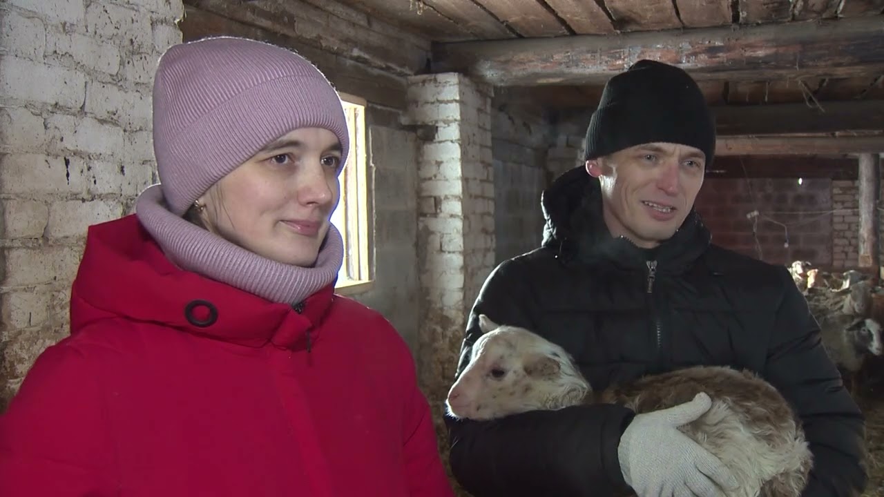 Чем заняться фермеру?