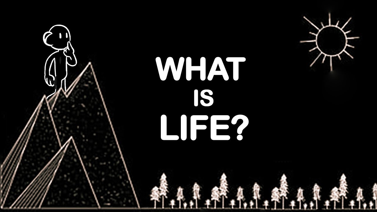 Smile, Think, Wonder: Philosophical Reflections on Life
