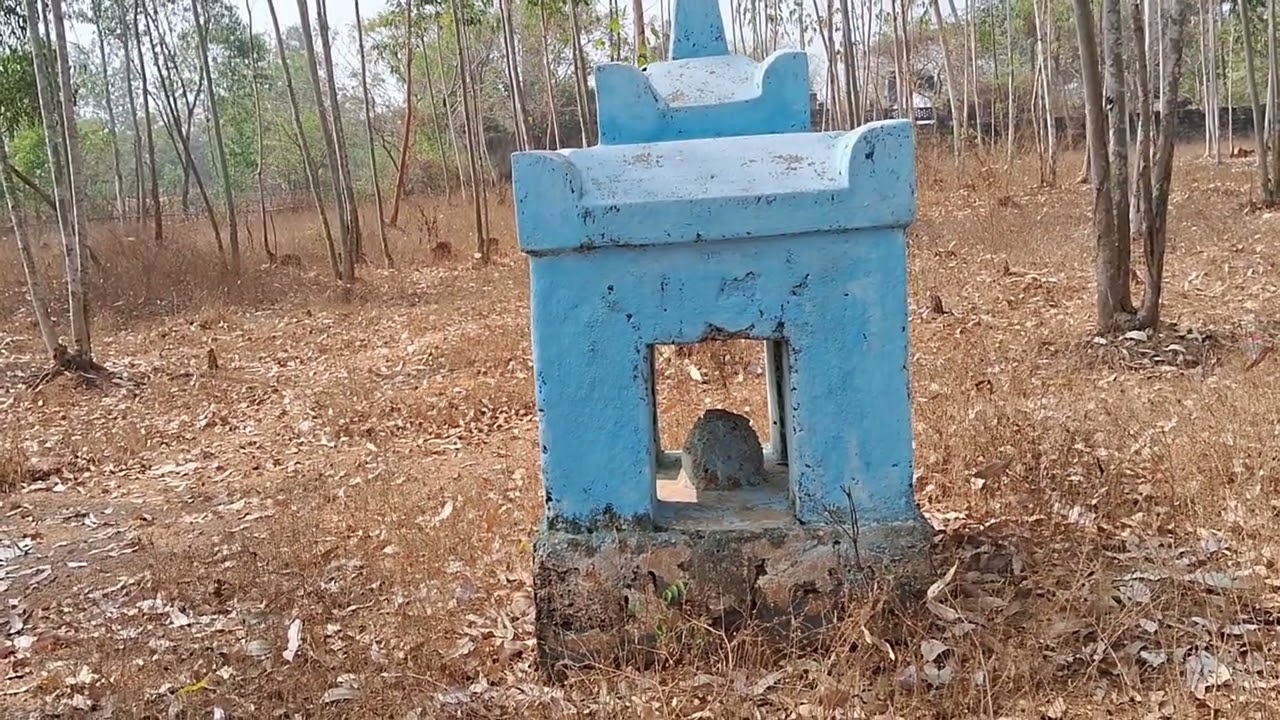 চললাম মঙ্গলজড়ি। Manglajodi Bird watching. Chilka Odisha. #goutamaalee 