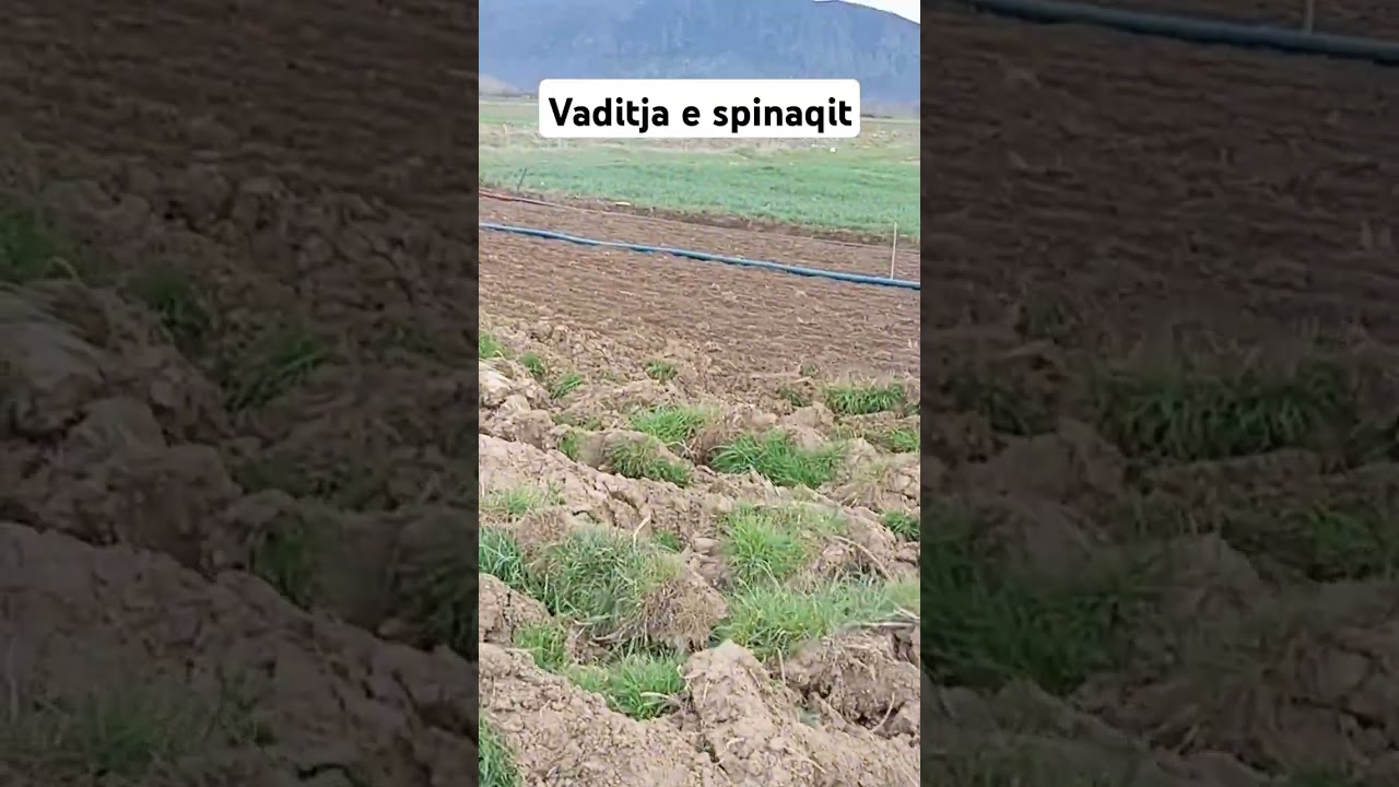 #automobile #recitimlmrekullueshemlkuranit #farming #bujqesi #maliq #fermeri