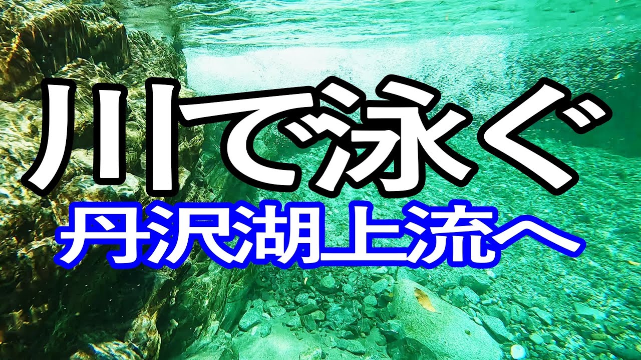 神奈川ゆる旅　夏の丹沢湖上流の河内川で川遊び満喫