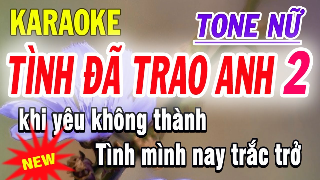 Tình Đã Trao Anh 2 Karaoke - Tone Nữ - ST CNS Ánh Như