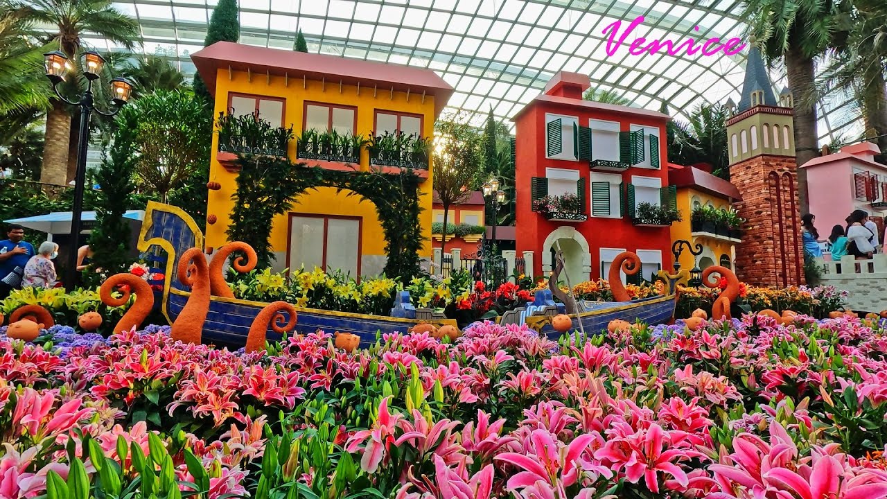 Lilytopia
