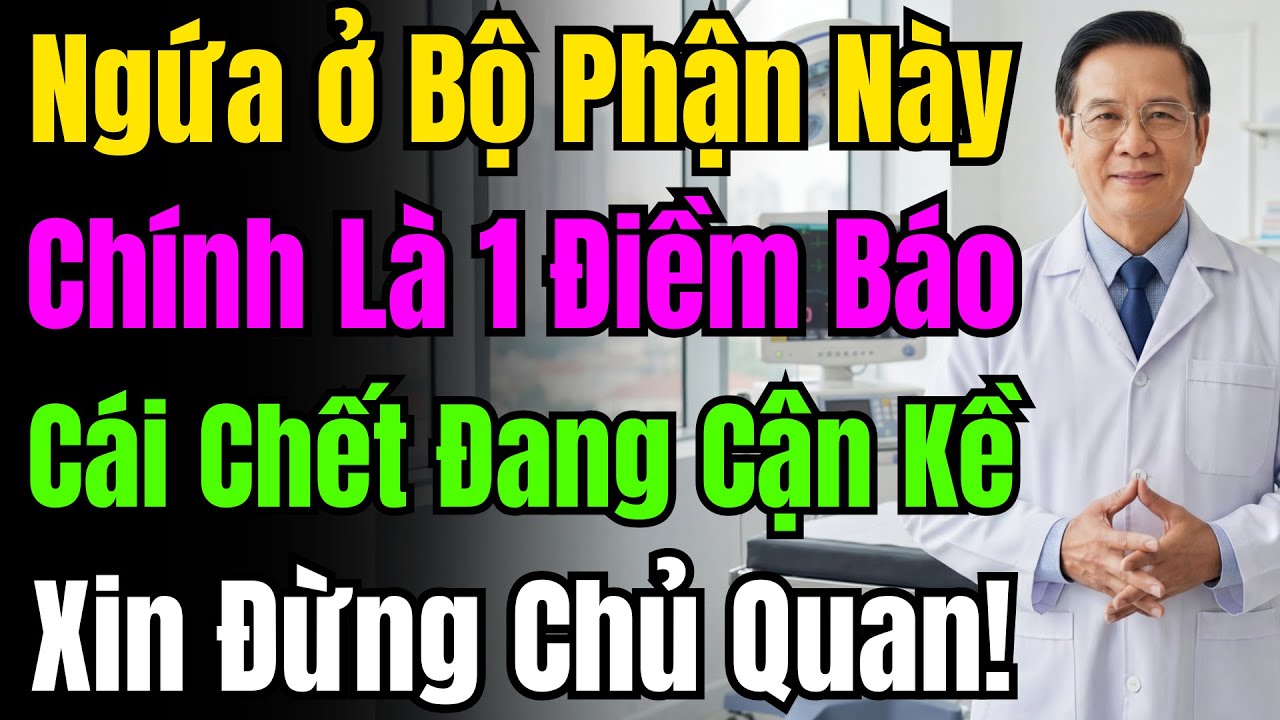 Giật Mình Sự Thật: Ngứa 3 Chỗ Này Không Phải Bệnh Da Liễu Mà Là Án Tử Hình Treo Lơ Lửng.