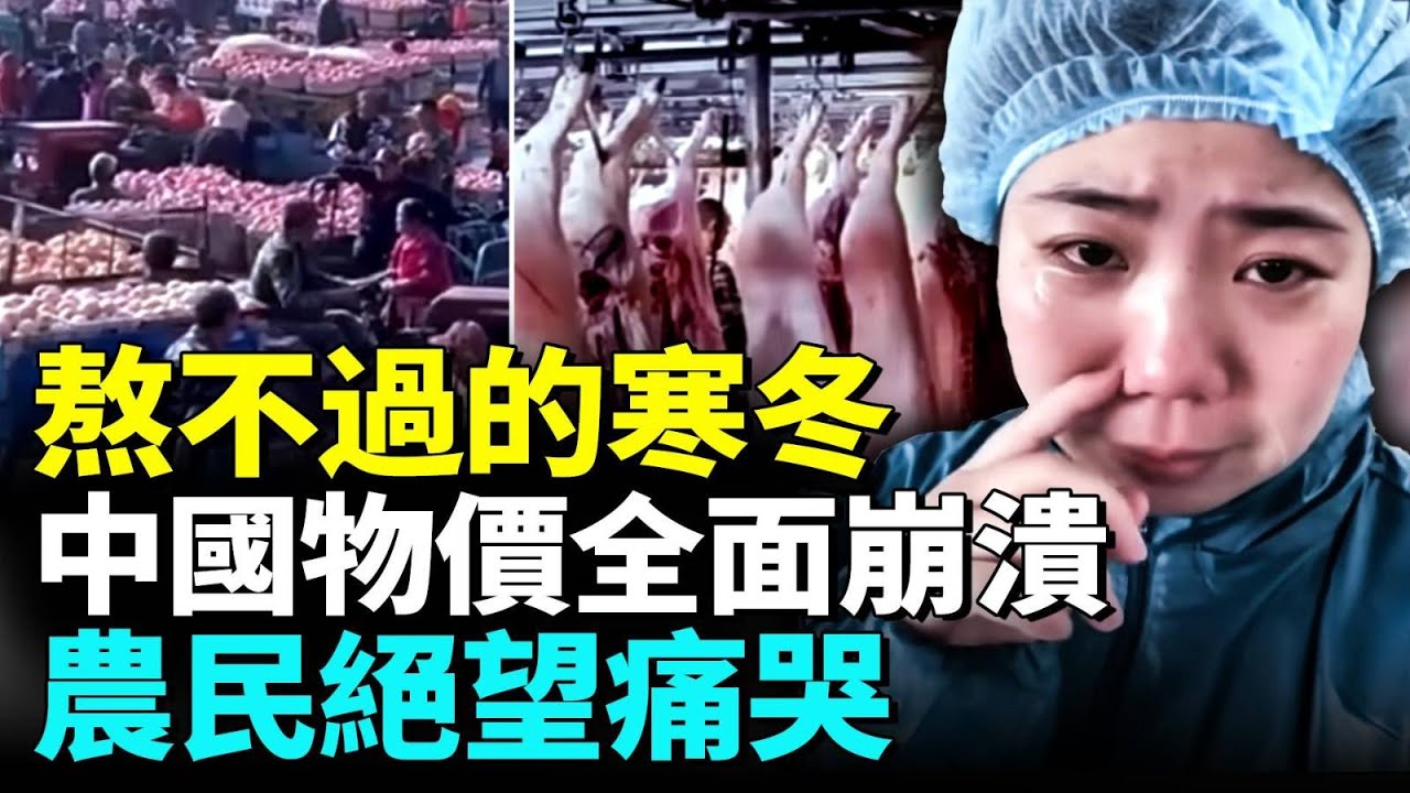 中國豬肉價格崩盤，農副產品價格全線下降；農民商家絕望哭泣；水果當垃圾倒，種菜沒人要。