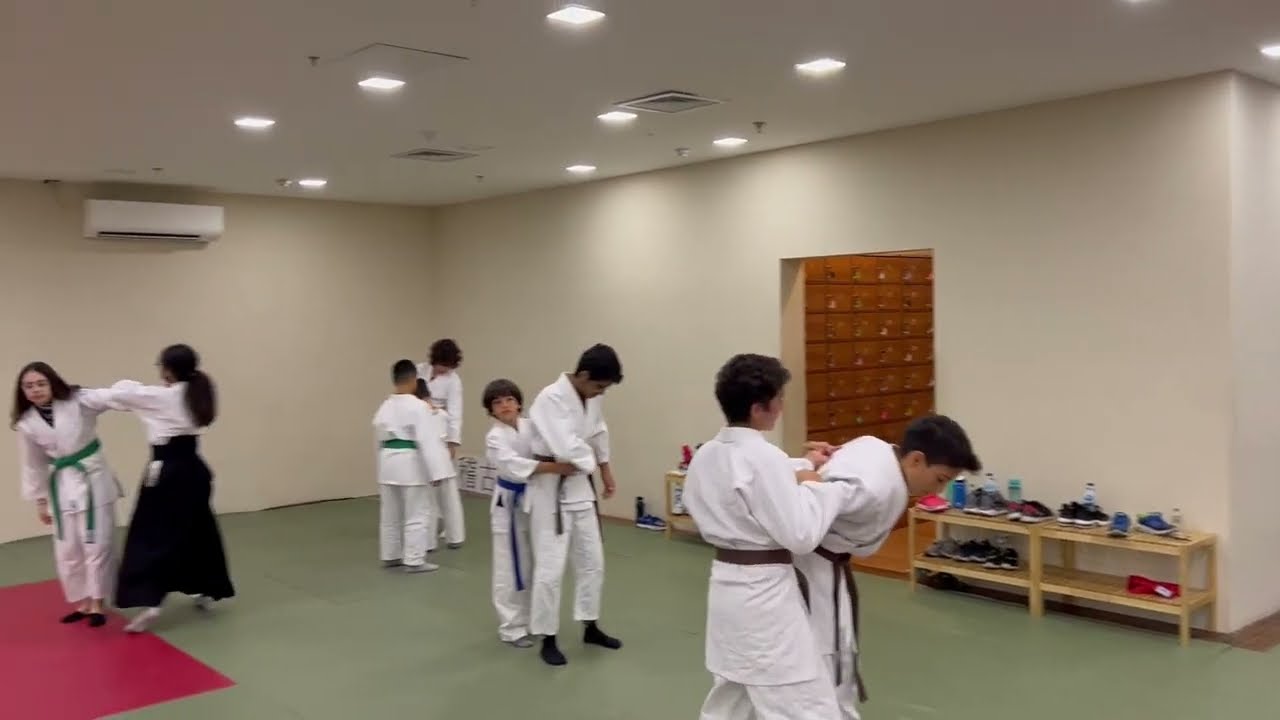 Aikido İstanbul | &Ccedil;ocuk Aikido Eğitimi | Bakırk&ouml;y Aikido Dersleri | www.aikidoistanbul.com.tr